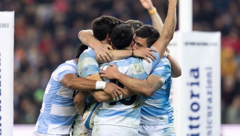 los pumas