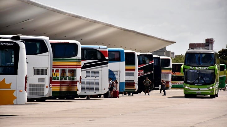 desregulación del transporte automotor de pasajeros