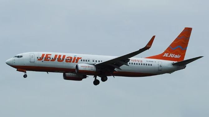 jeju air