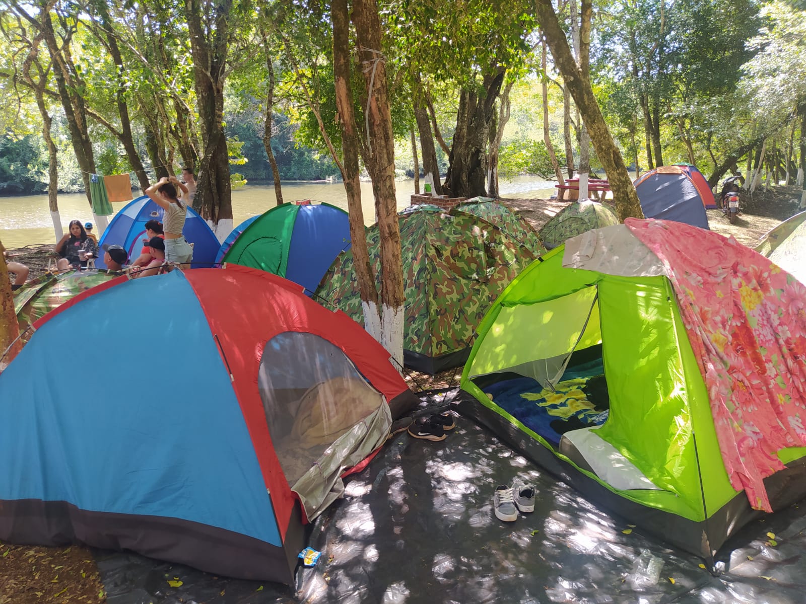 festival de las carpas