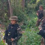 Ministerio-de-Ecologia-y-Recursos-Naturales-Renovables-investiga-un-grave-caso-de-apeo-de-arboles-nativos-sucedido-en-el-Parque-Provincial-Pinalito-3