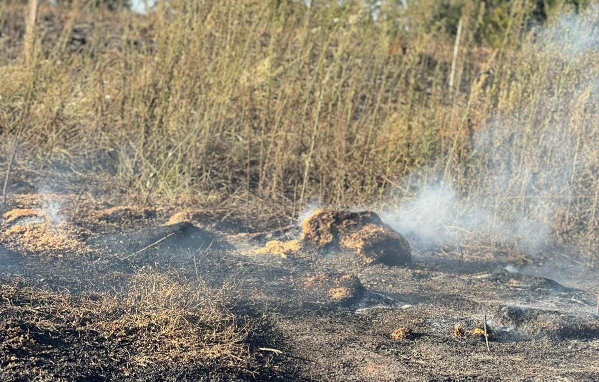 incendio de pastizales en Posadas