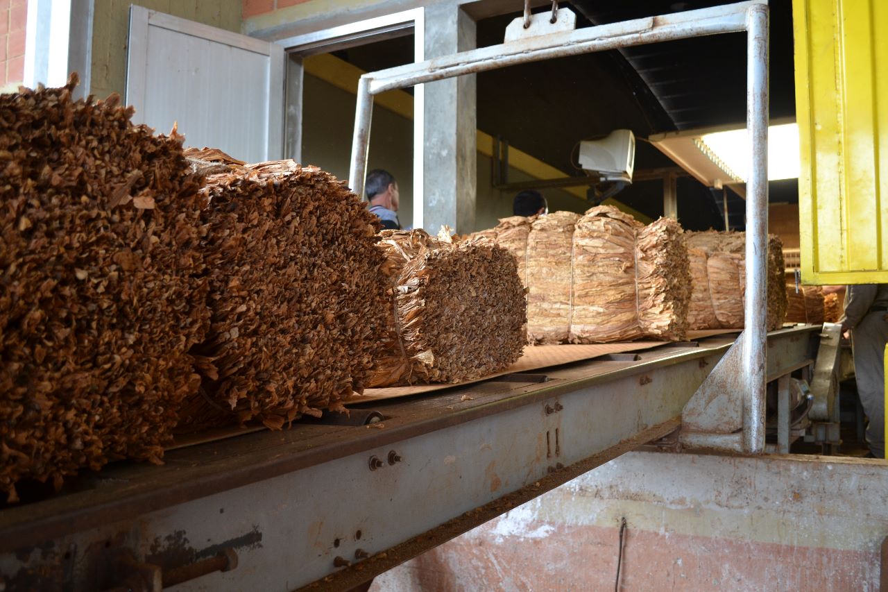 Nuevas medidas para el Tabaco en Misiones