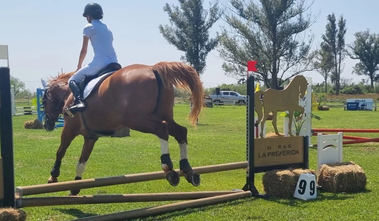 competencia de salto hípico