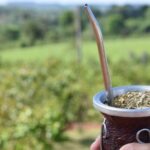 mate