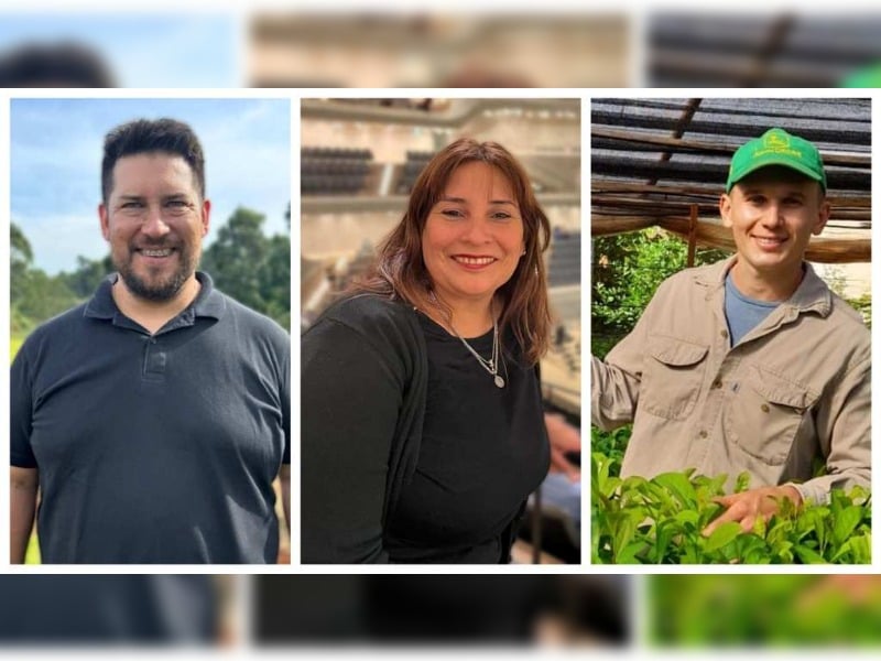 candidatos de la Renovación NEO