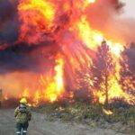 incendios-en-la-Patagonia