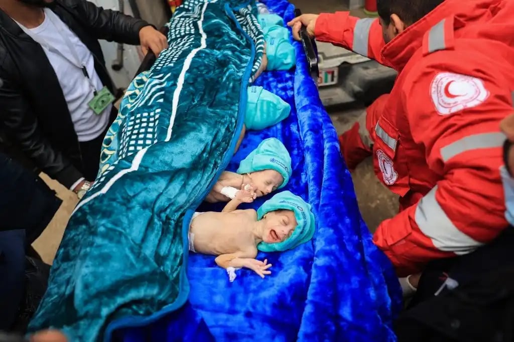 14.000 bebés están al borde de la muerte en Gaza