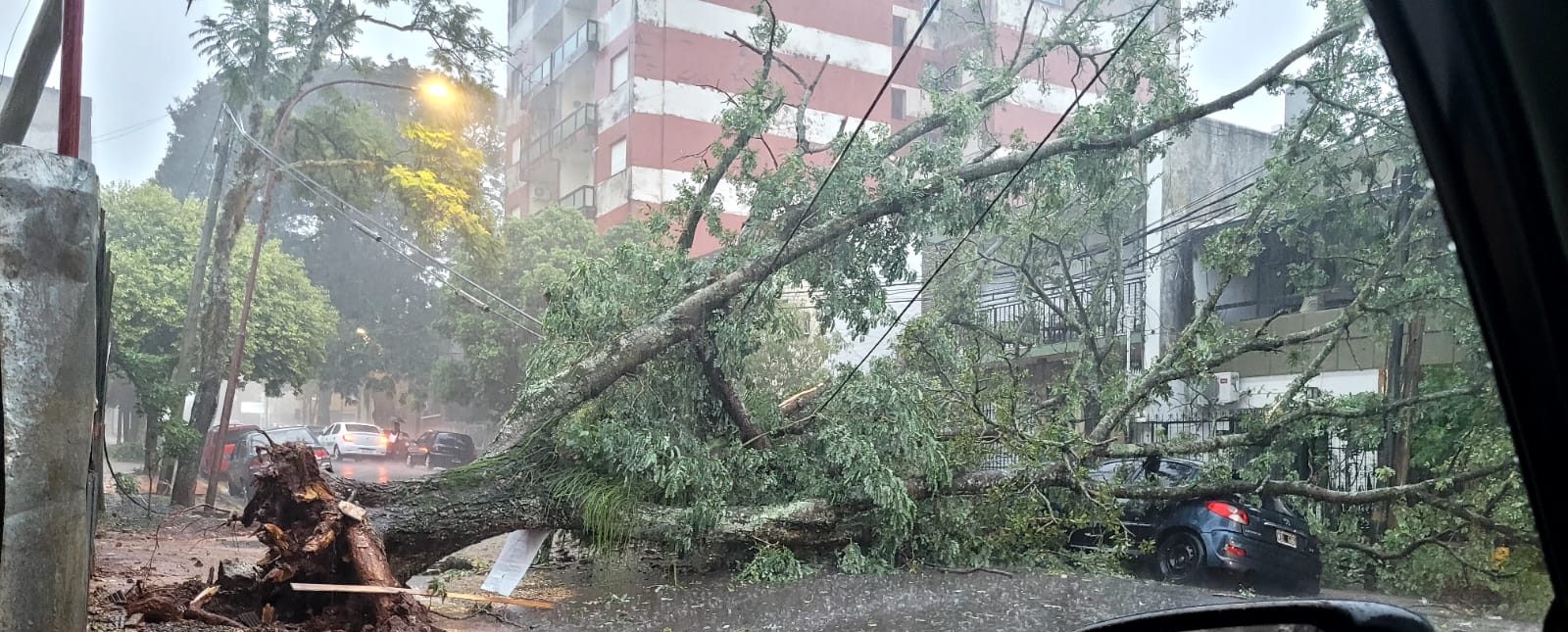 Intenso temporal causa daños en Posadas