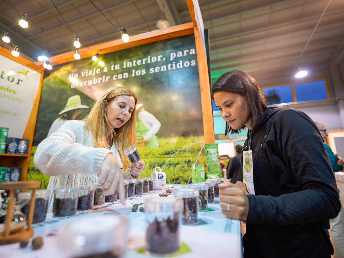 Expo Té