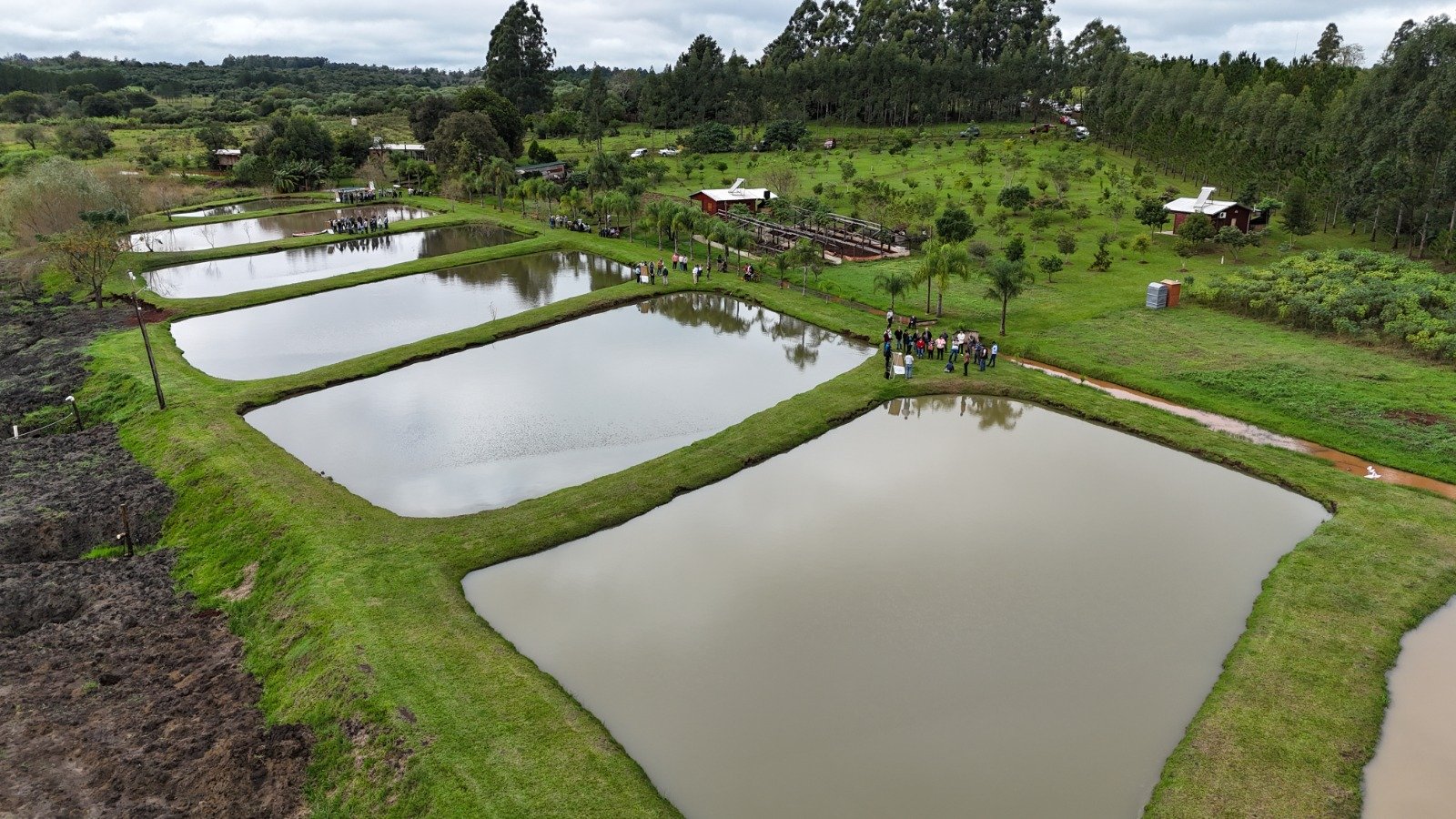 Fiesta del Pescado de Cultivo