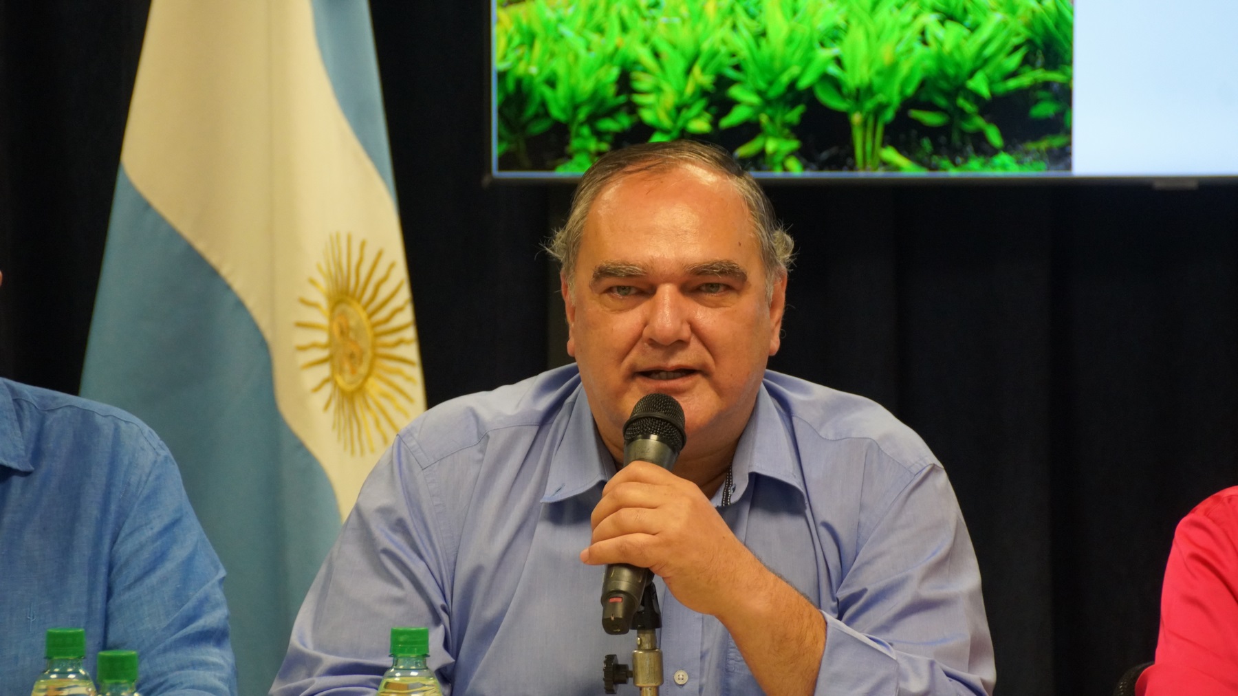 “Esto fue un show montado para las elecciones”: Gervasoni apuntó contra la ley de Ficha Limpia y defendió la soberanía política misionera