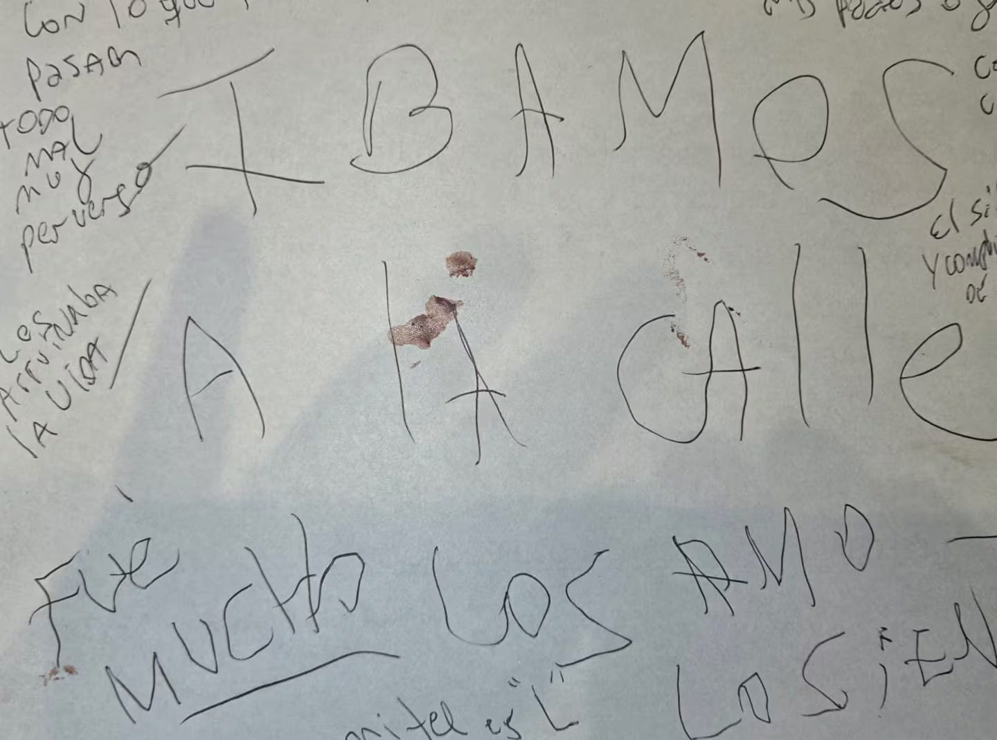 carta de la mujer que mató a su familia en Buenos Aires