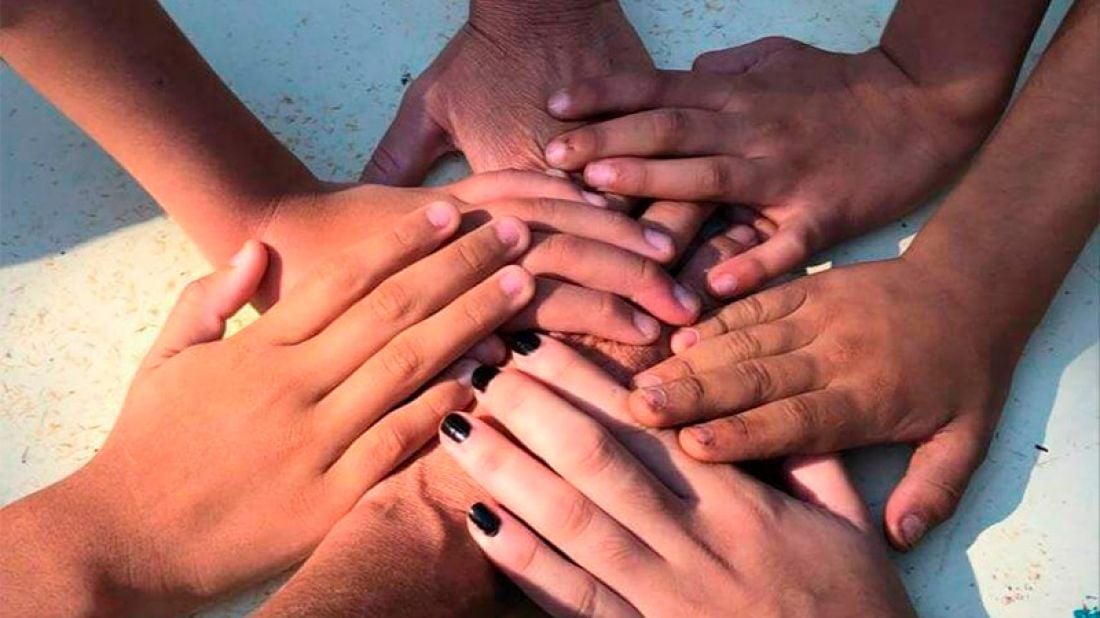 adopción