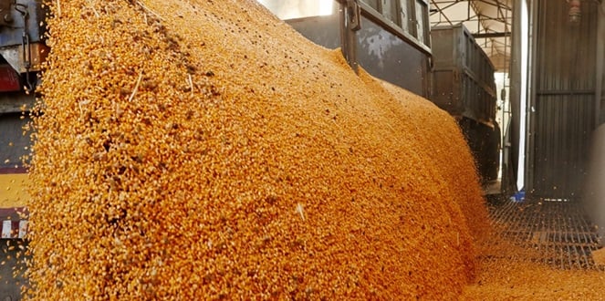 retenciones a las exportaciones