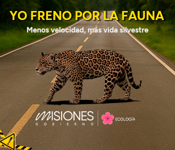 MINISTERIO ECOLOGIA-FRENO 350 x 300