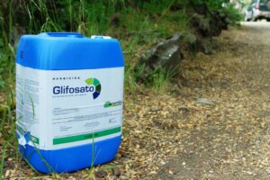 glifosato