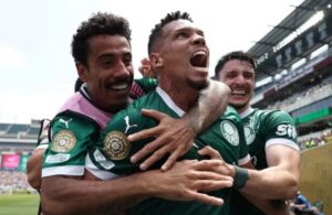 palmeiras