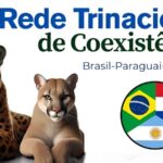 red-trinacional-yaguarete-1