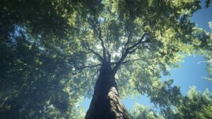 Arboles-2