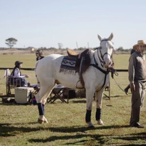 entre-copas-y-polo