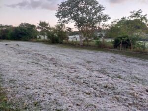 heladas-en-Posadas