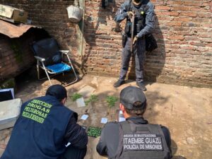 Arrestaron-a-delicuentes-implicados-en-robos-y-cultivo-de-marihuana