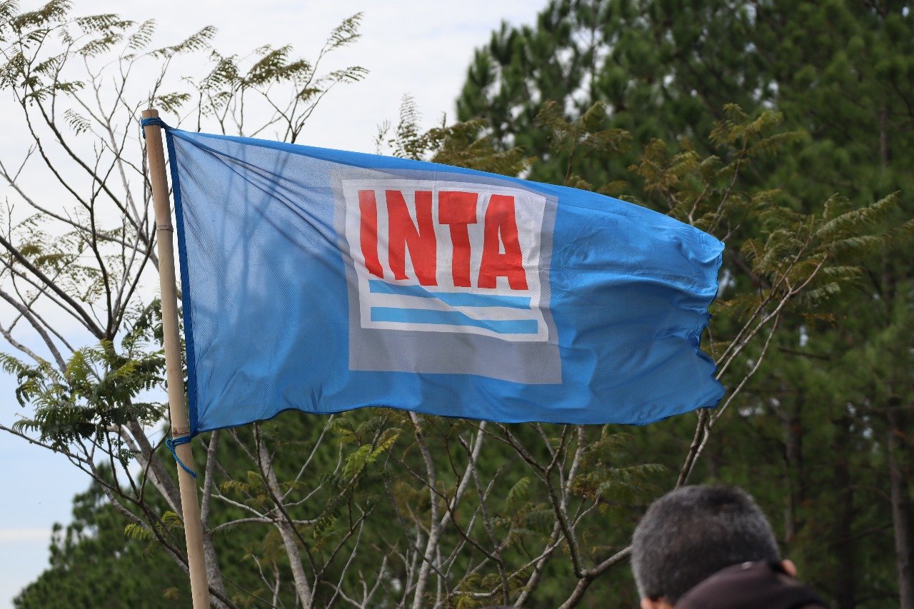 INTA