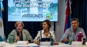 La-Legislatura-continua-el-analisis-del-Presupuesto-2026-17