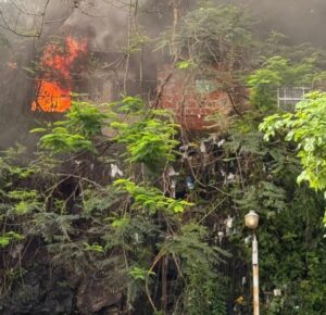 Incendio-Cerro-Pelon