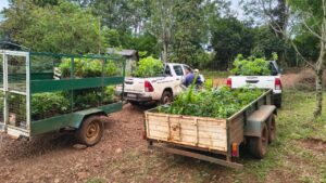 WhatsApp-Image-2025-10-28-at-51922-PM-2