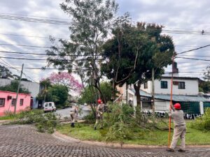 tareas-despeje-de-lineas-Posadas-4