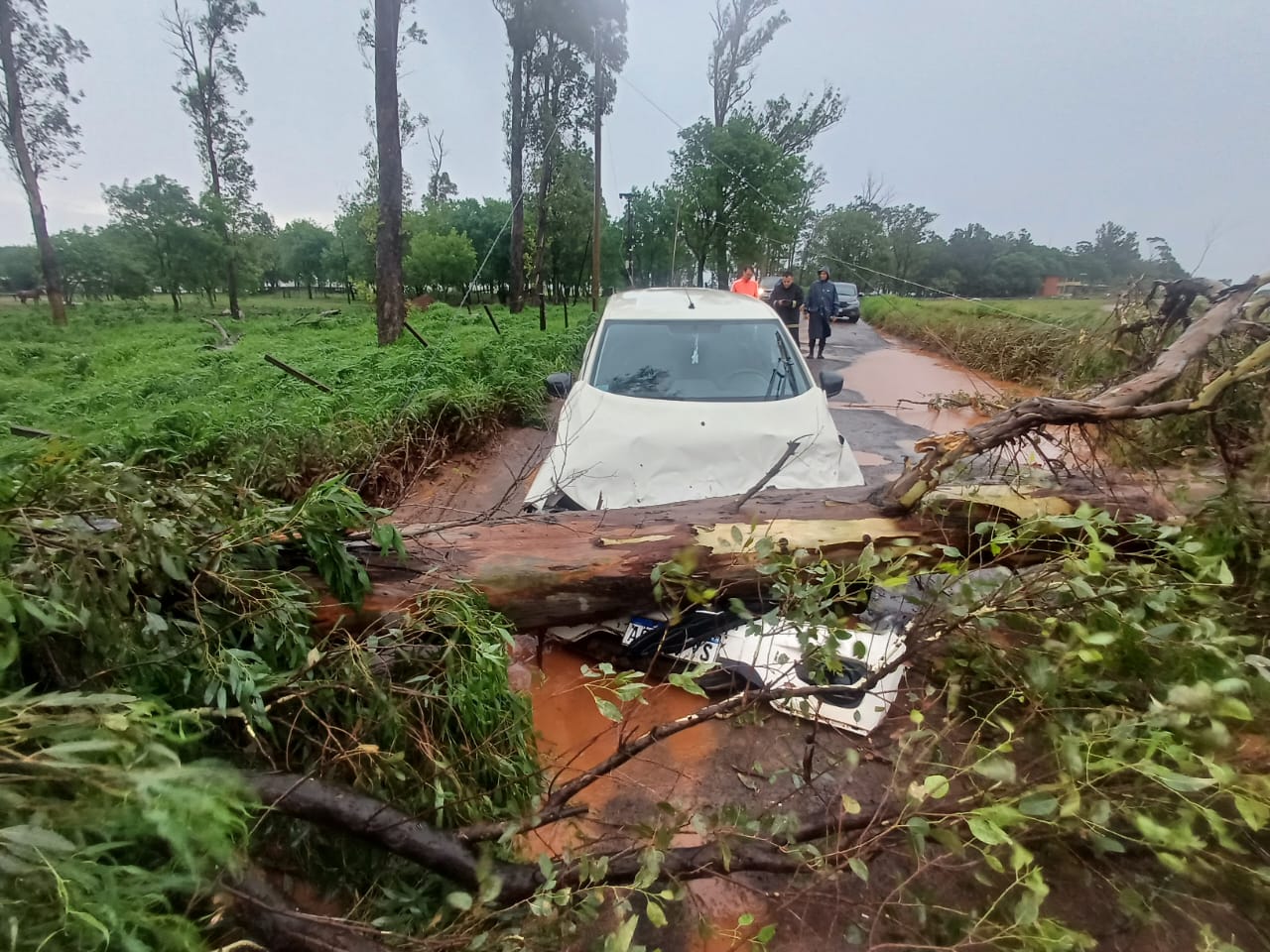 temporal en Misiones