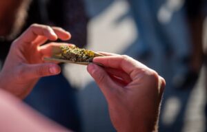 WhatsApp-Image-2025-11-17-at-32433-PM