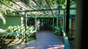 WhatsApp-Image-2025-11-27-at-121115-PM