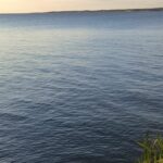 busqueda-en-rio-parana