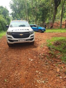 despiste-en-los-helechos