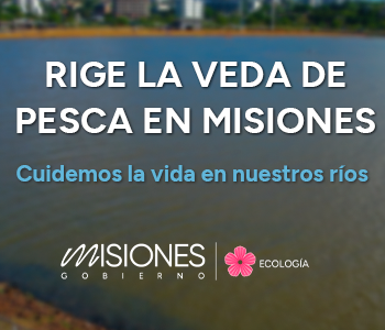 ecologia pesca 350 x 300 MISIONES ONLINE