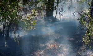 incendio-en-Corpus-e1764274698490