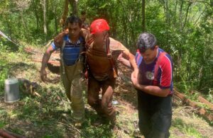 rescate-en-la-selva-e1762295475424