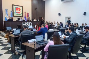 Concejo-Deliberante-de-Posadas-octubre-2025-4