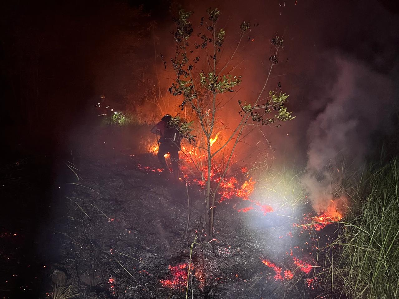 incendios forestales en Jardín América y Panambí