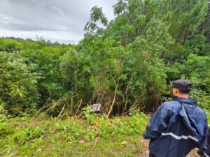 despiste-en-ruta-103