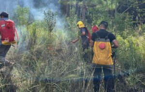 incendio-en-santa-ana-e1764715026374