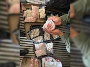 organizacion-narcocriminal-que-operaba-en-Misiones-CABA-y-el-Conurbano-bonaerense