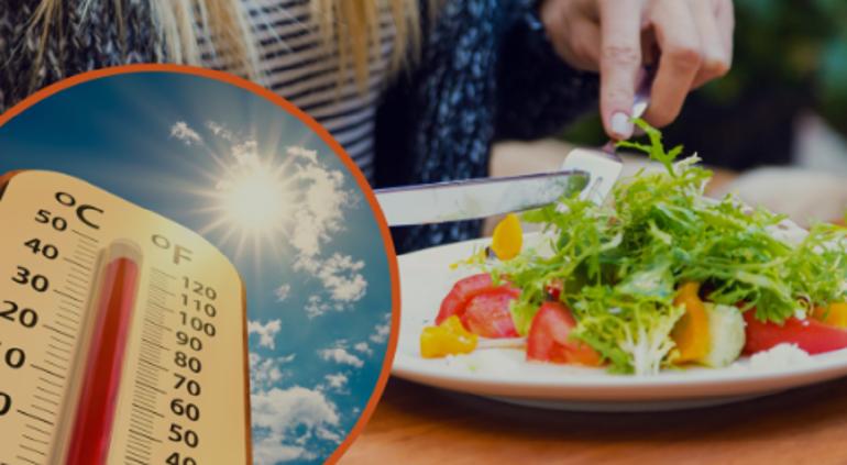 cuidado de alimentos en verano