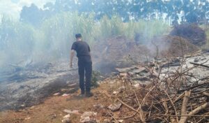 incendio-en-alem-e1769548684762