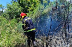 incendio-en-santa-ana-e1769202829362
