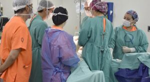 residencias-en-Salud-1-e1769554883882