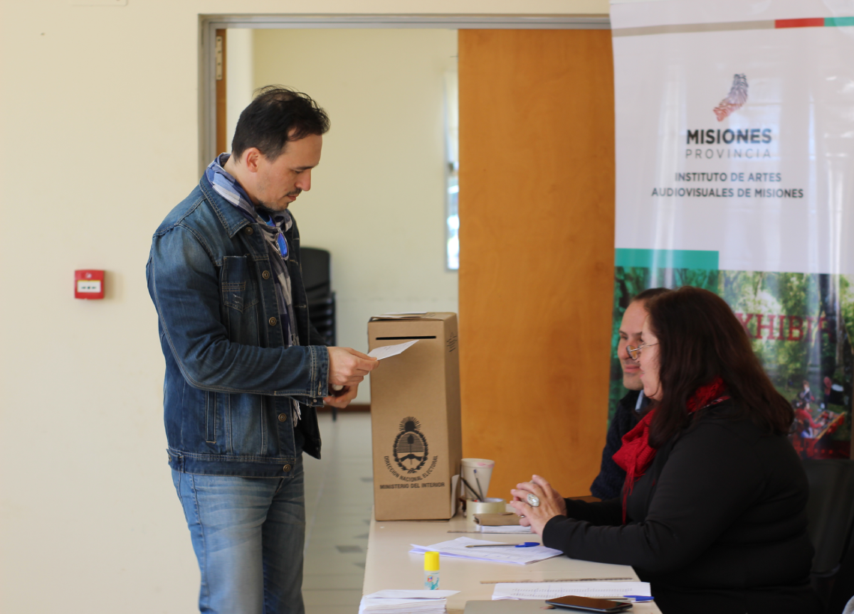 elecciones en el IAAviM